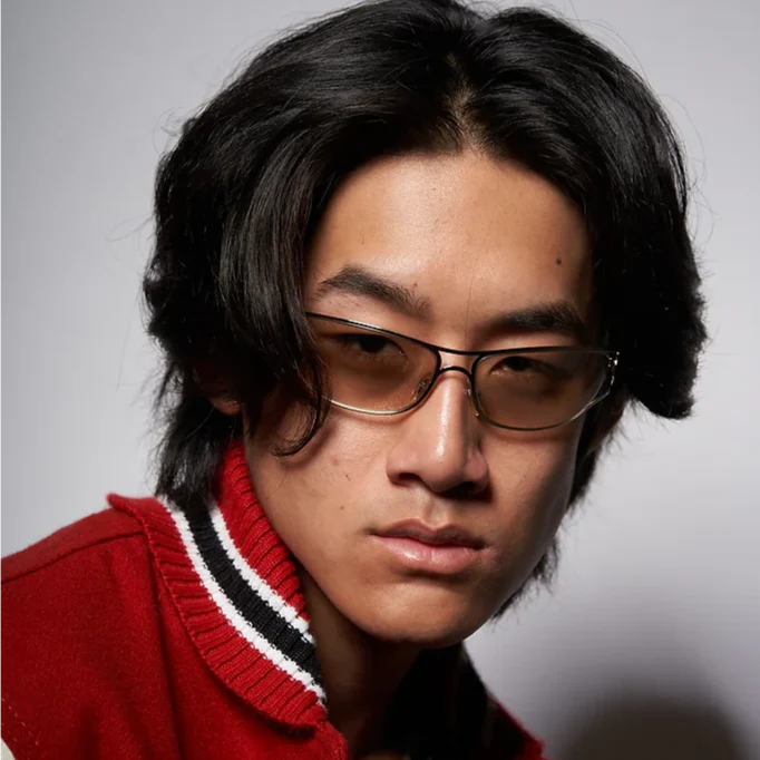 Dynamic Vision Where Style Meets Functionality